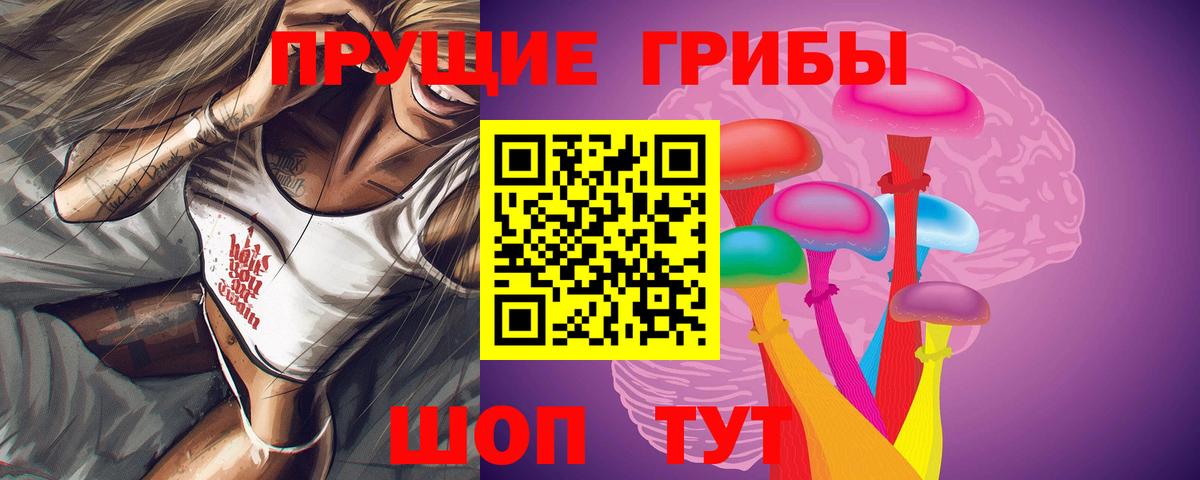 Дмитров  Галлюциногенные грибы Psilocybe  Вход с VPN 
